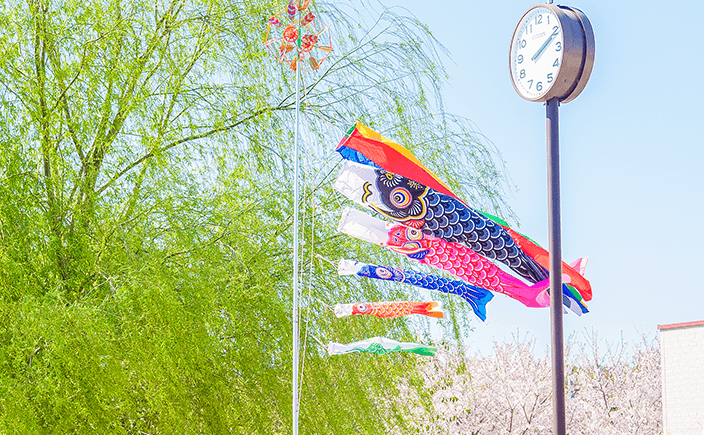 5月
